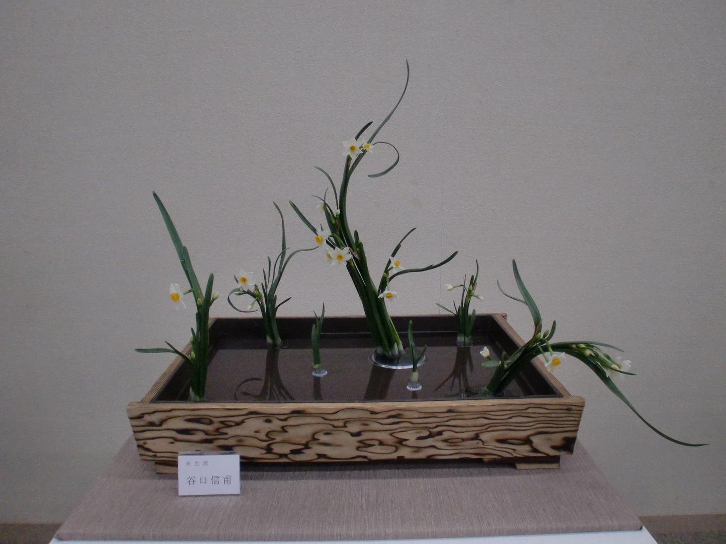 �C�y�ɂ����΂�