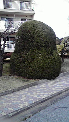 ���Ȃ��Ǝ�