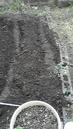 ���Ȃ��Ǝ�