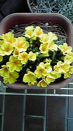 ���Ȃ��Ǝ�