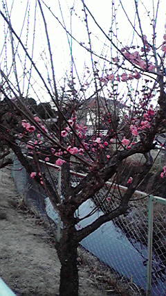 ���Ȃ��Ǝ�