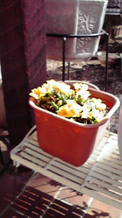 ���Ȃ��Ǝ�