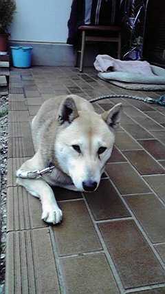 ���Ȃ��Ǝ�