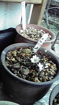 ���Ȃ��Ǝ�