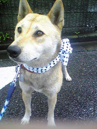 ���Ȃ��Ǝ�