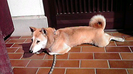 ���Ȃ��Ǝ�