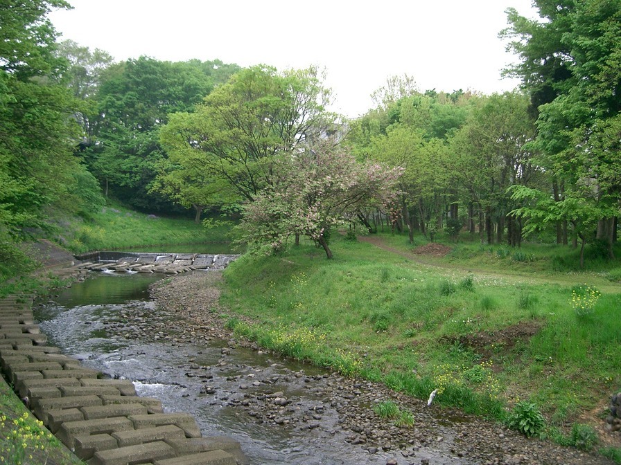 ���q�̎l�G