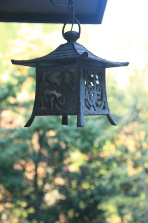 T&Y�̖��̓r��