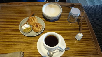 T&Y�̖��̓r��