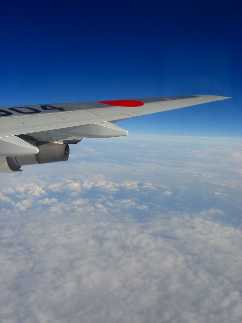 ������[�̓��L