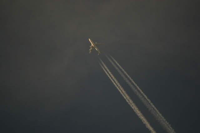 ������[�̓��L