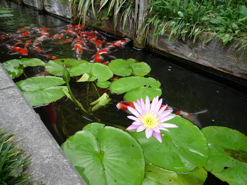 ��������`