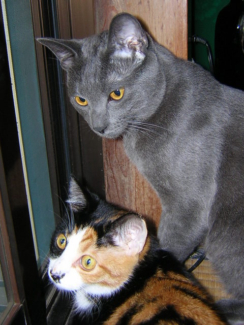 �˂��˂��݂������I