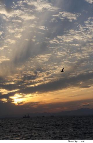 �u������v���Ƃ�