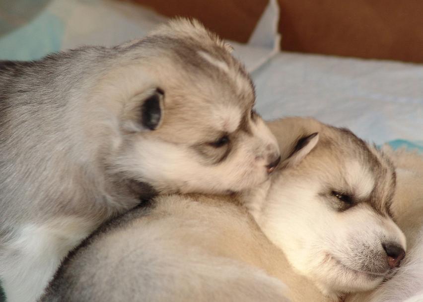 �u������v���Ƃ�