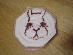 �u������v���Ƃ�