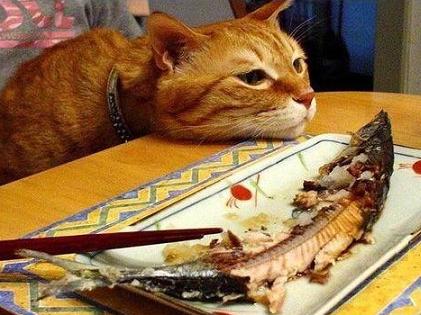 �u������v���Ƃ�