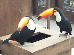 �u������v���Ƃ�