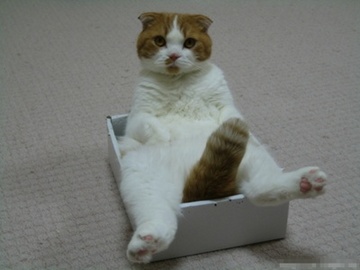 �u������v���Ƃ�