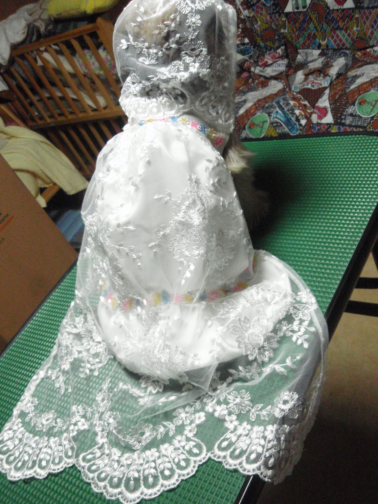 �`���R�}�}�̃u���O