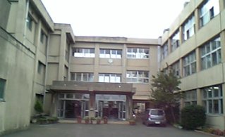 �e�l�`���b�s�[ �c�i����