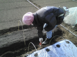 �e�l�`���b�s�[ �c�i����