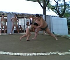 �e�l�`���b�s�[ �c�i����