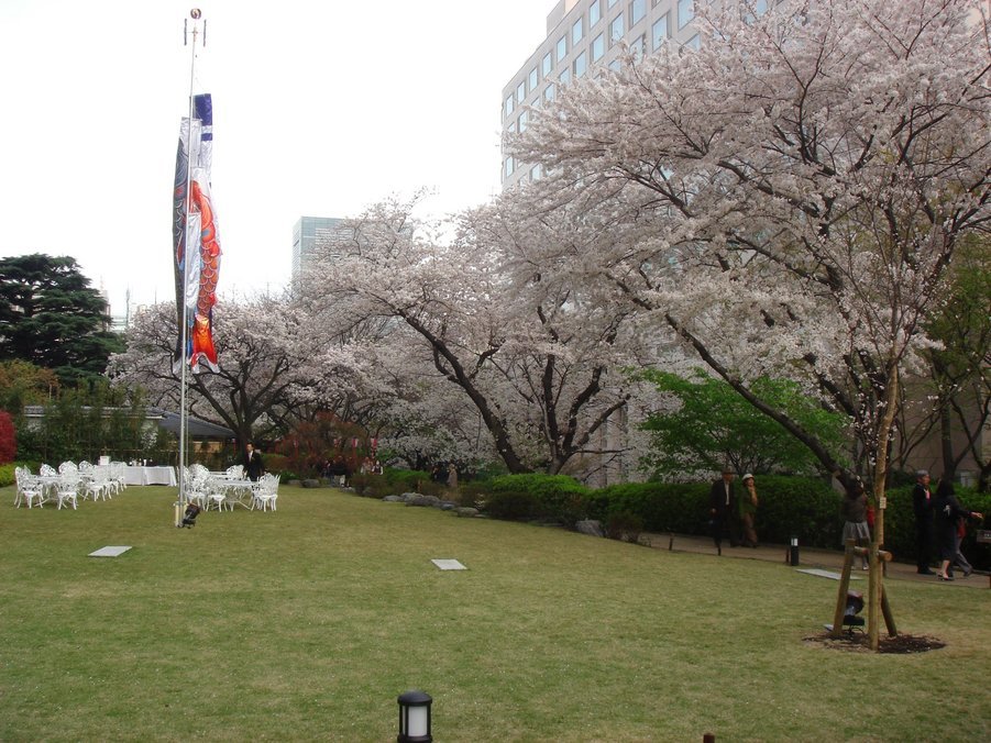 �e�l�`���b�s�[ �c�i����