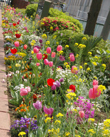 �e�l�`���b�s�[ �c�i����