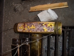 �e�l�`���b�s�[ �c�i����