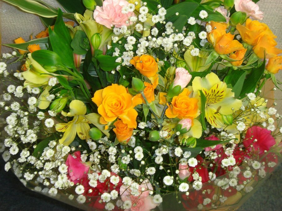 �e�l�`���b�s�[ �c�i����