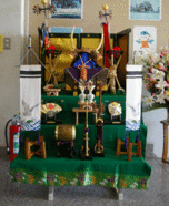 �e�l�`���b�s�[ �c�i����