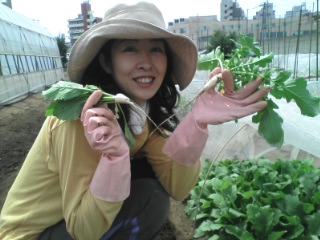 �e�l�`���b�s�[ �c�i����