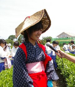 �e�l�`���b�s�[ �c�i����