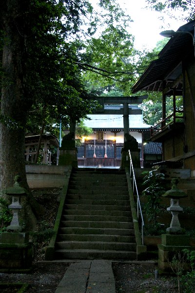 �e�l�`���b�s�[ �c�i����