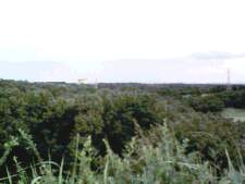 �e�l�`���b�s�[ �c�i����