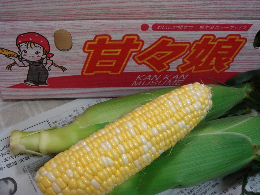 �e�l�`���b�s�[ �c�i����