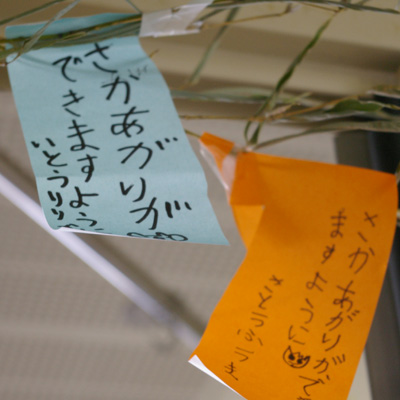 �e�l�`���b�s�[ �c�i����