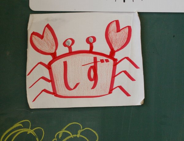 �e�l�`���b�s�[ �c�i����