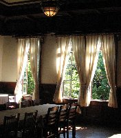 �e�l�`���b�s�[ �c�i����