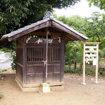 �e�l�`���b�s�[ �c�i����