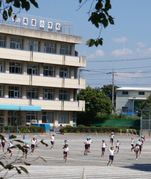 �e�l�`���b�s�[ �c�i����