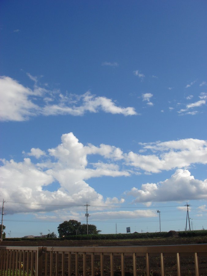 �e�l�`���b�s�[ �c�i����