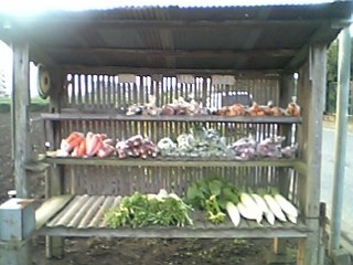 �e�l�`���b�s�[ �c�i����