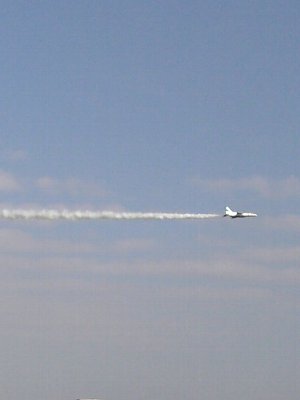 �e�l�`���b�s�[ �c�i����