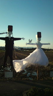 �e�l�`���b�s�[ �c�i����