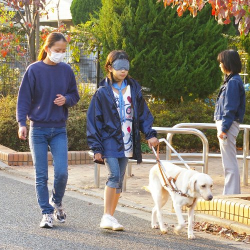 �e�l�`���b�s�[ �c�i����