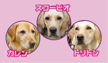 �e�l�`���b�s�[ �c�i����