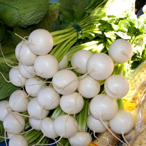 �e�l�`���b�s�[ �c�i����