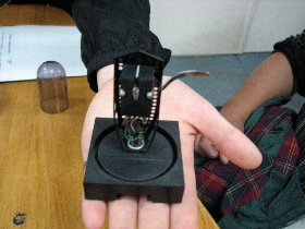 �e�l�`���b�s�[ �c�i����